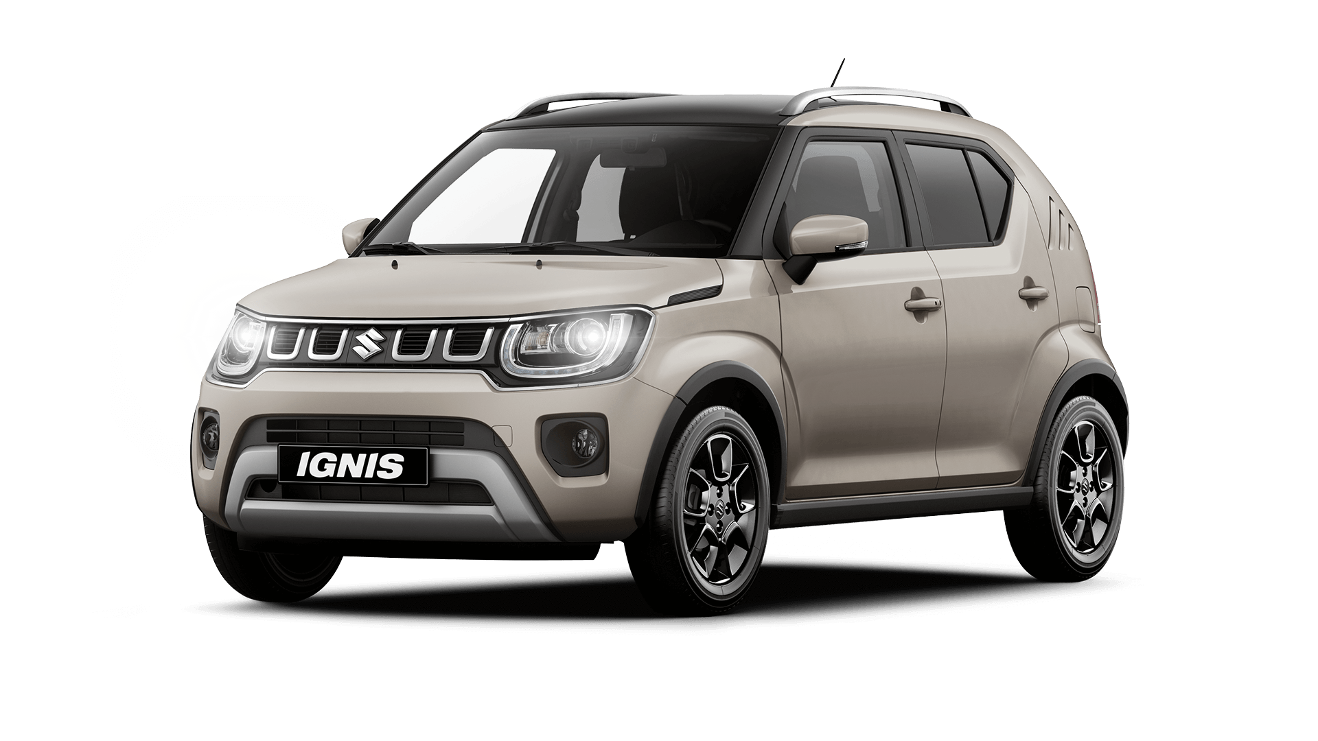 ignis 01 front kompr
