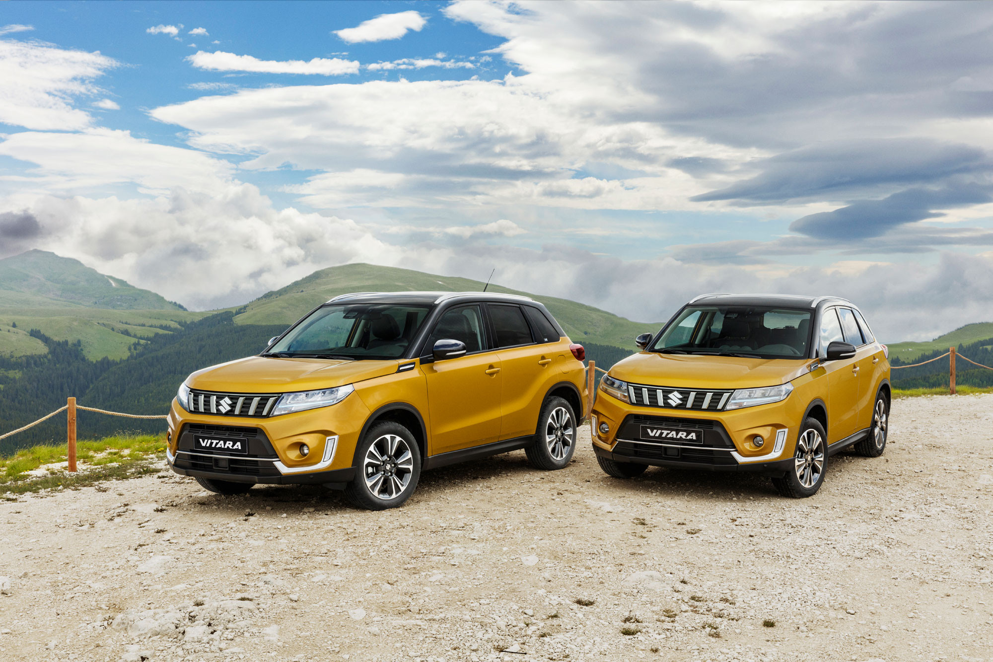 Vitara 2021 Image 11 web